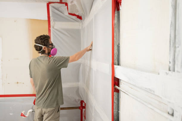 Best Mold Prevention Services  in Lannon, WI