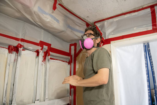 Best Comprehensive Air Testing for Mold Contaminants  in Lannon, WI